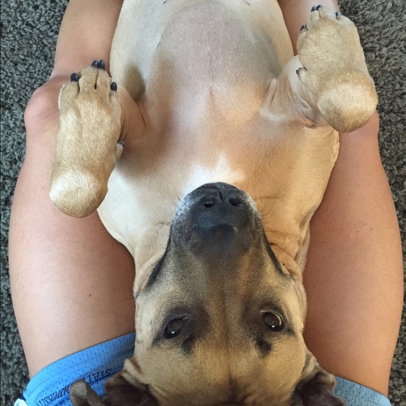 Meet The Posher - Picture 4 of 8